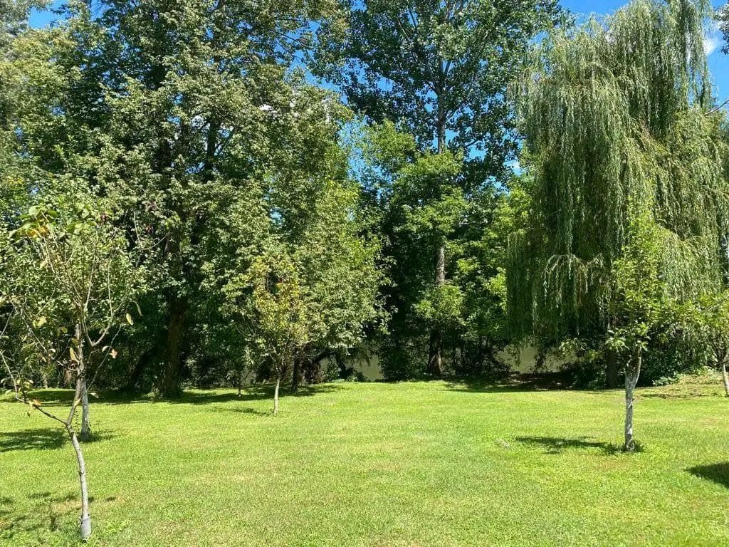 Blick auf den Garten
